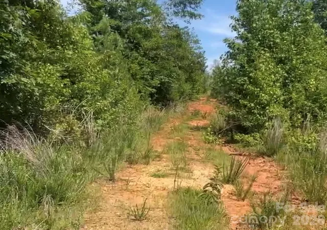 3rd image of 000 Promise Pride Dr, Edgemoor, SC 29712 | MLS# 4393868