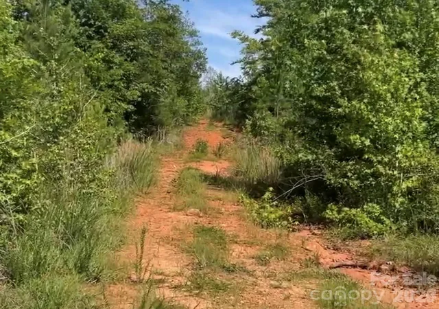 4th image of 000 Promise Pride Dr, Edgemoor, SC 29712 | MLS# 4393868