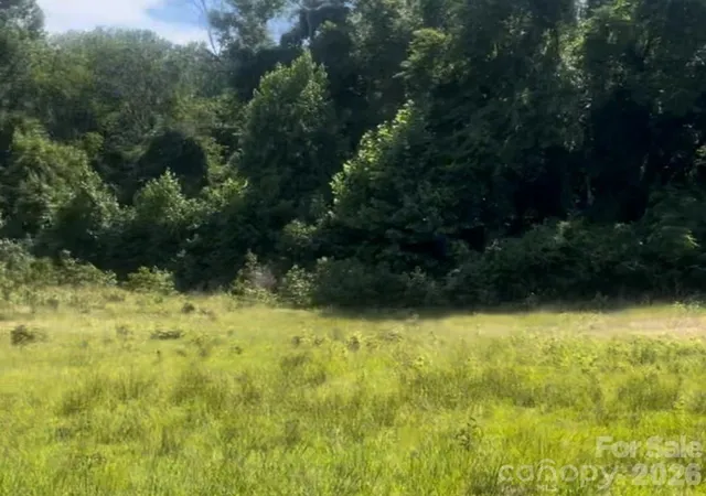 5th image of 000 Promise Pride Dr, Edgemoor, SC 29712 | MLS# 4393868