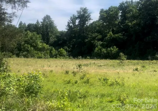 7th image of 000 Promise Pride Dr, Edgemoor, SC 29712 | MLS# 4393868