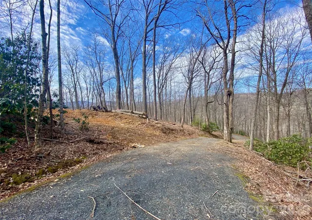 Photo 1 of Land for sale at Tbd Old Chestnut Mountain Rd, Newland, NC 28657 | MLS# 4394023 | Listing updated on 2026-06-18