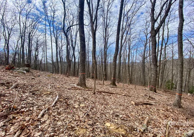 Photo 2 of Land for sale at Tbd Old Chestnut Mountain Rd, Newland, NC 28657 | MLS# 4394023 | Listing updated on 2026-06-18
