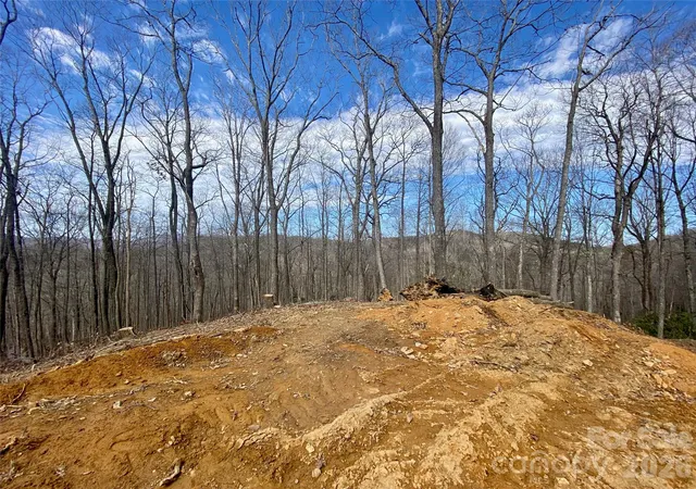 Photo 3 of Land for sale at Tbd Old Chestnut Mountain Rd, Newland, NC 28657 | MLS# 4394023 | Listing updated on 2026-06-18
