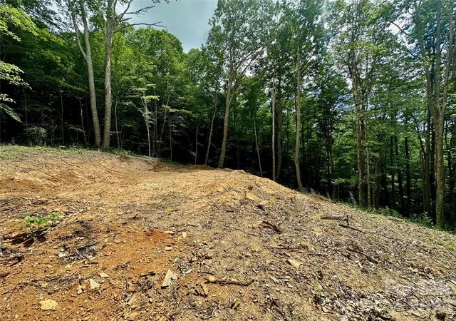 Photo 33 of Land for sale at Tbd Old Chestnut Mountain Rd, Newland, NC 28657 | MLS# 4394023 | Listing updated on 2026-06-18