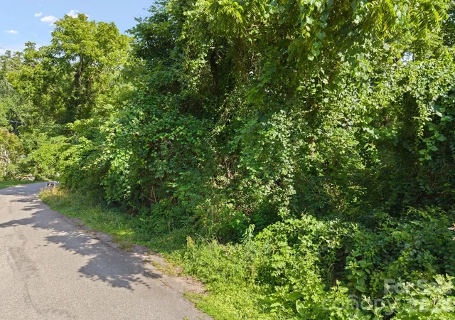 Photo 3 of Land for sale at 75 Green Oak Rd, Asheville, NC 28804 | MLS# 4394095 | Listing updated on 2026-09-19
