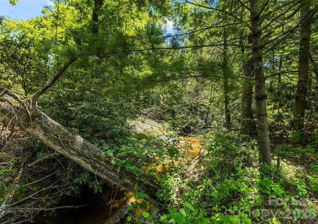 Photo 3 of Land for sale at 742 Hiawassee Ave, Black Mountain, NC 28711 | MLS# 4394116 | Listing updated on 2026-08-21