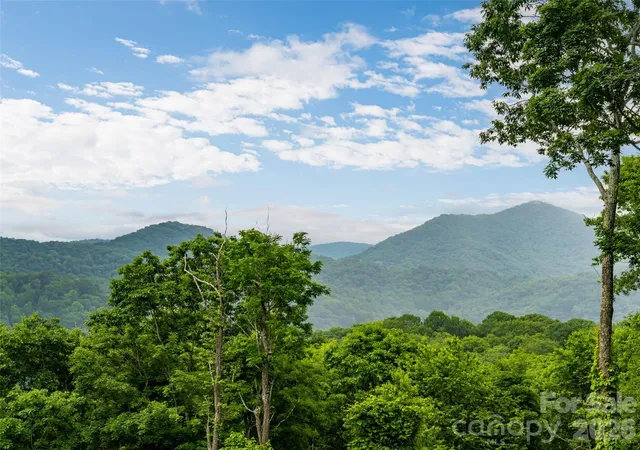 Homes for sale in Canton, NC | 243 Pioneer Ridge Rd, Canton, NC 28716 | MLS# 4394138