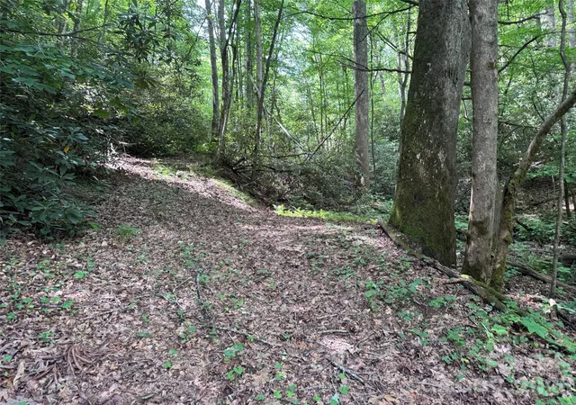 Homes for sale in Brevard, NC | 10a Reserve Rd, Brevard, NC 28768 | MLS# 4394202