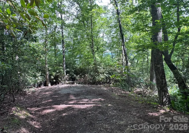Homes for sale in Brevard, NC | 10A Reserve Rd, Brevard, NC 28768 | MLS# 4394202