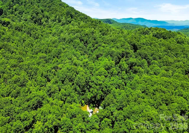 41st image of 173 Camp Elliott Rd, Black Mountain, NC 28711 | MLS# 4394206