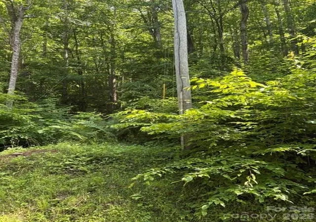 Photo 2 of Land for sale at 00 Shoaf Ln, Warrensville, NC 28693 | MLS# 4394234 | Listing updated on 2026-07-24