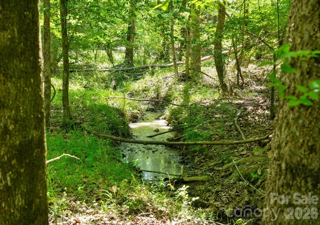 Photo 3 of Land for sale at 0000 Cool Branch Rd #1, Carlisle, SC 29031 | MLS# 4394254 | Listing updated on 2026-07-17