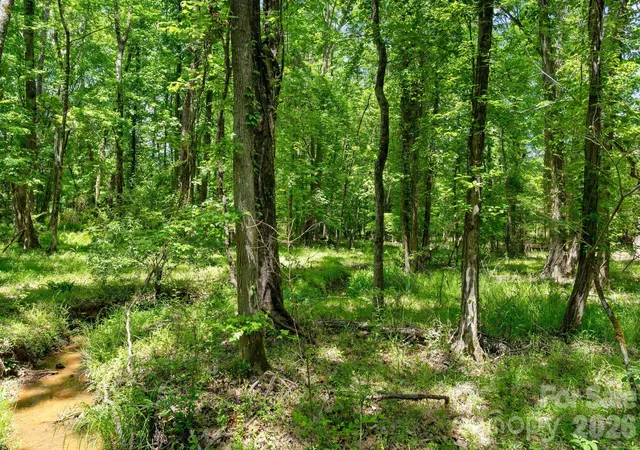 Photo 4 of Land for sale at 0000 Cool Branch Rd #1, Carlisle, SC 29031 | MLS# 4394254 | Listing updated on 2026-07-17
