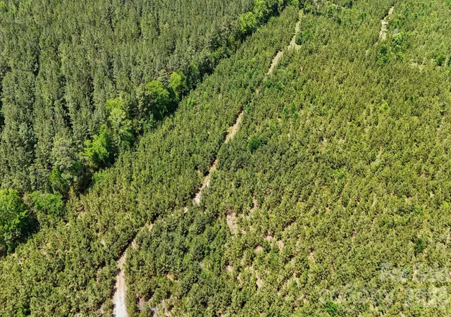 Photo 45 of Land for sale at 0000 Cool Branch Rd #1, Carlisle, SC 29031 | MLS# 4394254 | Listing updated on 2026-07-17
