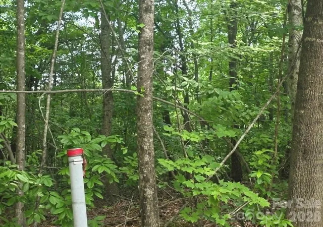 Photo 16 of Land for sale at 169 Fairfield Ln, Marion, NC 28752 | MLS# 4394307 | Listing updated on 2026-07-07