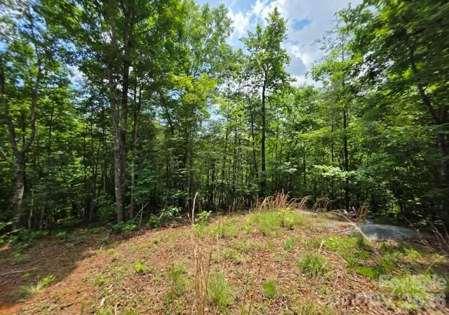 Photo 2 of Land for sale at 169 Fairfield Ln, Marion, NC 28752 | MLS# 4394307 | Listing updated on 2026-07-07