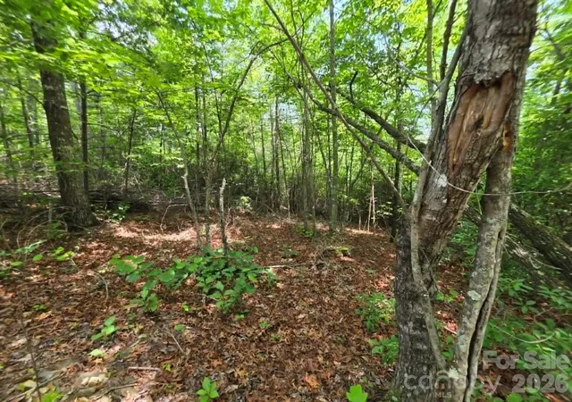 Photo 4 of Land for sale at 169 Fairfield Ln, Marion, NC 28752 | MLS# 4394307 | Listing updated on 2026-07-07