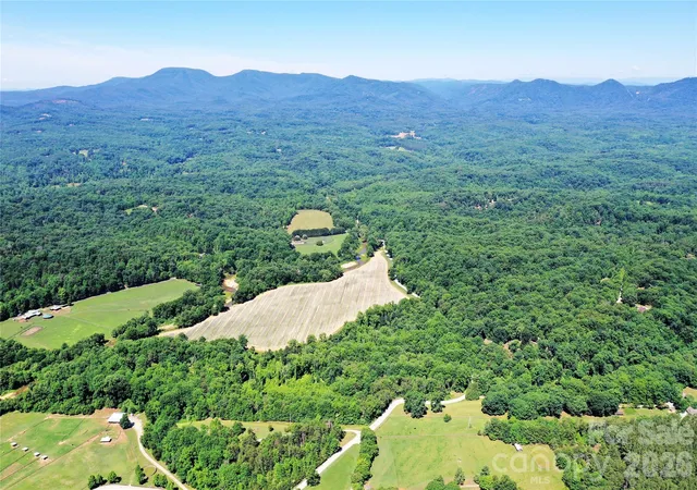 1st image of Tbd River Road, Columbus, NC 28782 | MLS# 4394441