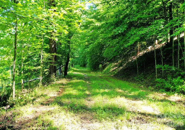 2nd image of Tbd River Road, Columbus, NC 28782 | MLS# 4394441