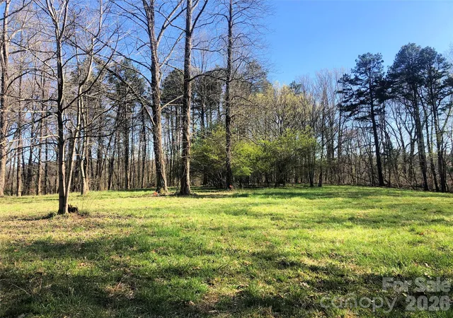30th image of Tbd River Road, Columbus, NC 28782 | MLS# 4394441