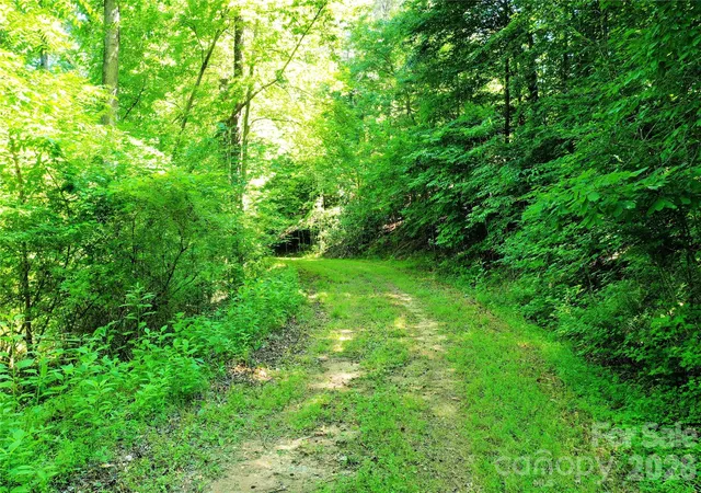 3rd image of TBD River Road, Columbus, NC 28782 | MLS# 4394441