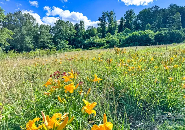 3rd image of 000 Rocky Hl Dr #5 & 7, Hendersonville, NC 28792 | MLS# 4394533