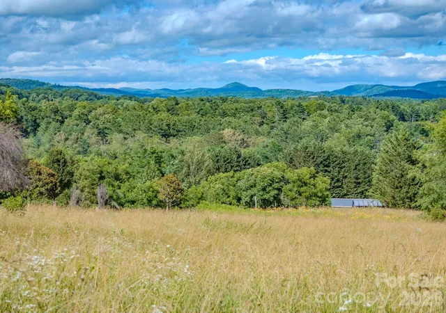 5th image of 000 Rocky Hl Dr #5 & 7, Hendersonville, NC 28792 | MLS# 4394533