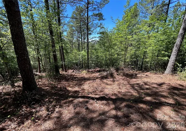 2nd image of 1175 Hidden Cove Ln, Connellys Springs, NC 28612 | MLS# 4394571