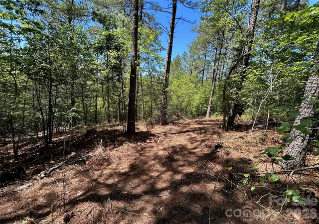 Photo 3 of Land for sale at 1175 Hidden Cvs Ln, Connellys Springs, NC 28612 | MLS# 4394571 | Listing updated on 2026-08-20