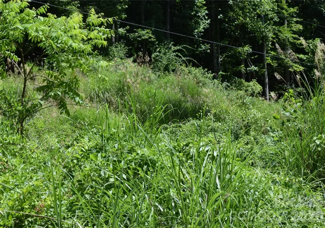 Photo 19 of Land for sale at Tbd Wooded Mountain Trl #Tract 1, Mars Hill, NC 28754 | MLS# 4394623 | Listing updated on 2026-09-03
