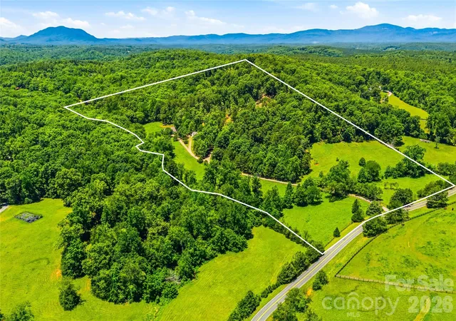 48th image of 3012 Polk County Line Rd, Rutherfordton, NC 28139 | MLS# 4394667