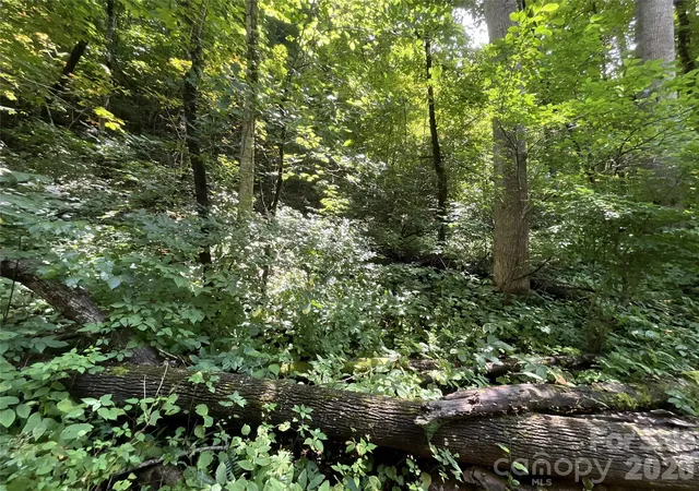 Photo 38 of Land for sale at 618 Dark Ridge Rd, Sylva, NC 28779 | MLS# 4394738 | Listing updated on 2026-08-07