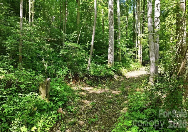 Homes for sale in Sylva, NC | 618 Dark Ridge Rd, Sylva, NC 28779 | MLS# 4394738