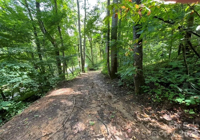 Photo 4 of Land for sale at 618 Dark Ridge Rd, Sylva, NC 28779 | MLS# 4394738 | Listing updated on 2026-08-07