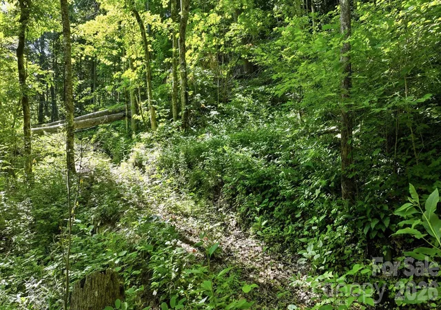 Homes for sale in Sylva, NC | 618 Dark Ridge Rd, Sylva, NC 28779 | MLS# 4394738