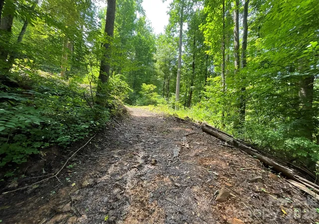 Photo 5 of Land for sale at 618 Dark Ridge Rd, Sylva, NC 28779 | MLS# 4394738 | Listing updated on 2026-08-07