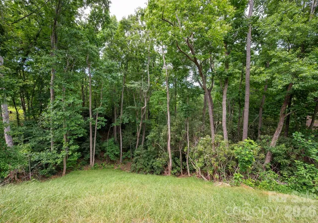 40th image of 25 Whitaker View Rd, Fairview, NC 28730 | MLS# 4394888