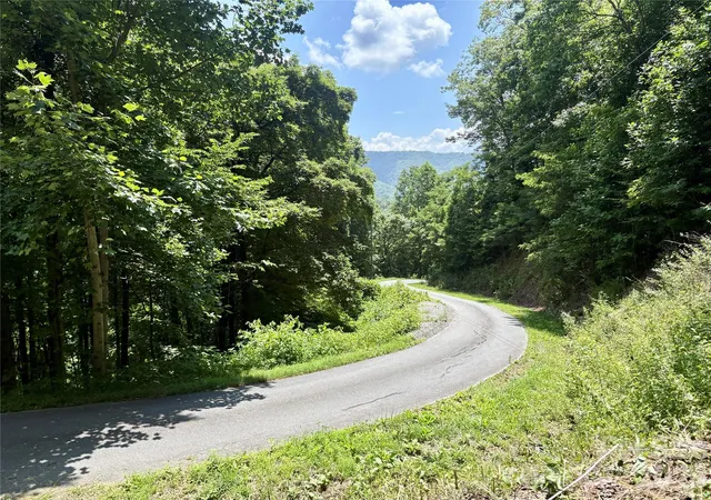 Homes for sale in Bryson City, NC | 0 Eagles Roost Rd #70, Bryson City, NC 28713 | MLS# 4394979