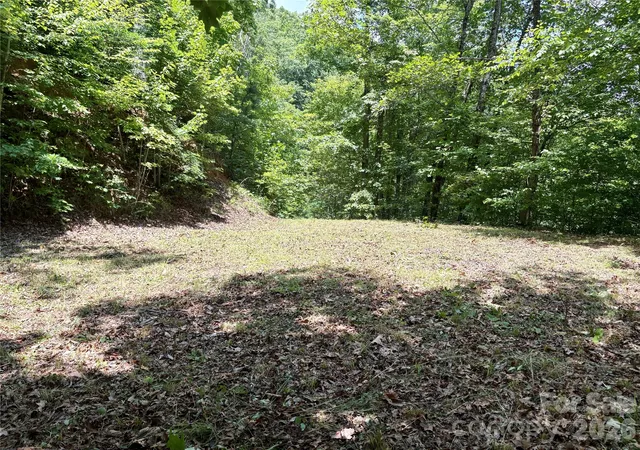 Homes for sale in Bryson City, NC | 0 Eagles Roost Rd #70, Bryson City, NC 28713 | MLS# 4394979