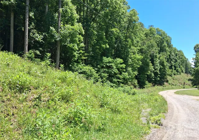 Photo 5 of Land for sale at Tbd Wooded Mountain Trl #Tracts 1 & 2, Mars Hill, NC 28754 | MLS# 4395044 | Listing updated on 2026-09-03