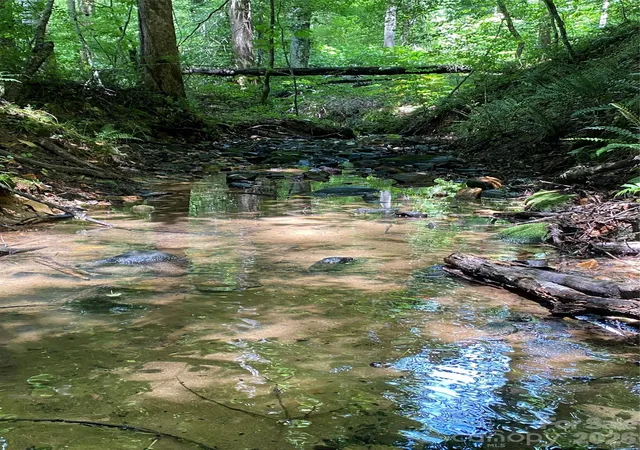 46th image of 3384 Us 64 Hwy, Rutherfordton, NC 28139 | MLS# 4395062