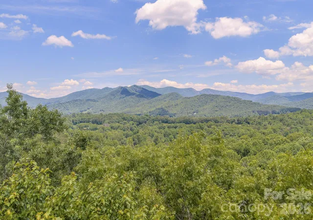 48th image of 35 Coweeta Ridge Rd, Otto, NC 28763 | MLS# 4395069