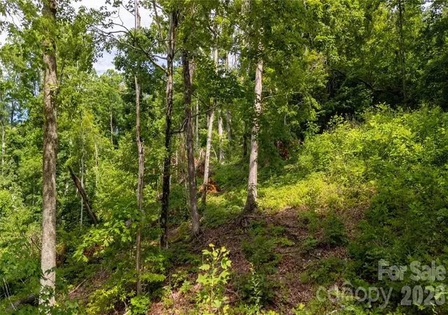 Homes for sale in Union Mills, NC | Lot 146 Shire Ln #146, Union Mills, NC 28139 | MLS# 4395160