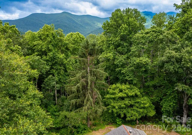 Photo 3 of Land for sale at 191 Walkertown Rd, Black Mountain, NC 28711 | MLS# 4395167 | Listing updated on 2026-08-16