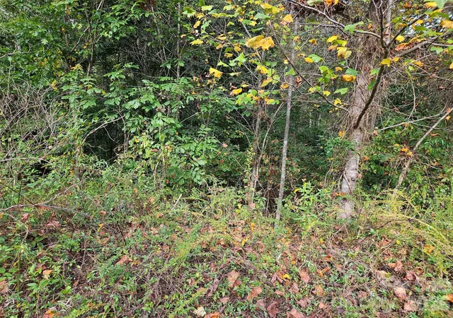 Photo 3 of Land for sale at 0 Hickory Loop Rd #36, Rutherfordton, NC 28139 | MLS# 4395184 | Listing updated on 2026-06-22
