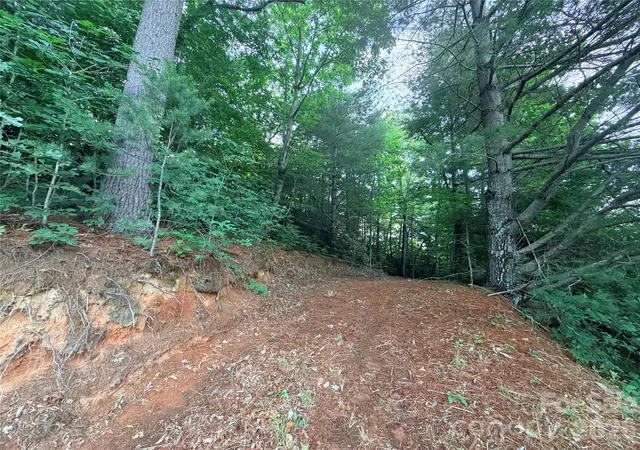 3rd image of 0 Silverglen Way #53, Hendersonville, NC 28792 | MLS# 4395204