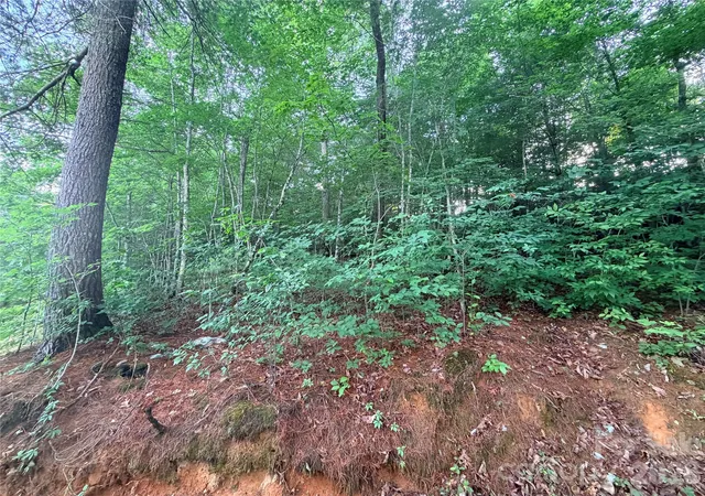 4th image of 0 Silverglen Way #53, Hendersonville, NC 28792 | MLS# 4395204