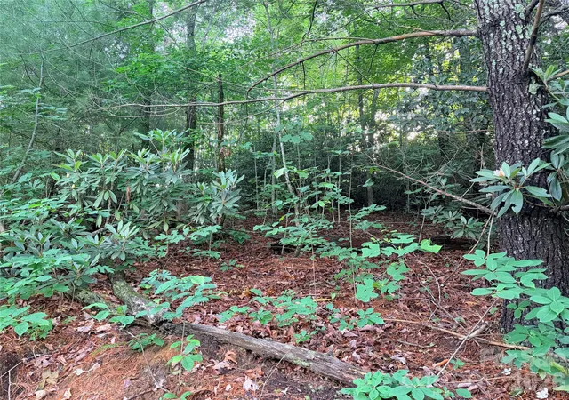 5th image of 0 Silverglen Way #53, Hendersonville, NC 28792 | MLS# 4395204