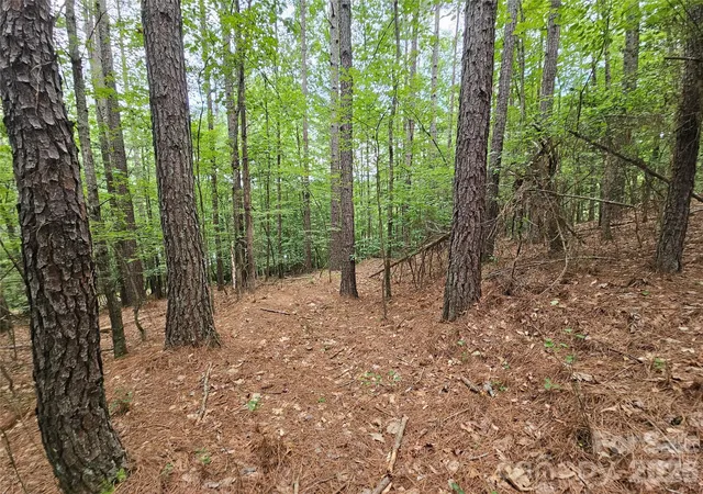 Photo 14 of Land for sale at 0 Broadwater Dr #168, Granite Falls, NC 28630 | MLS# 4395223 | Listing updated on 2026-08-31