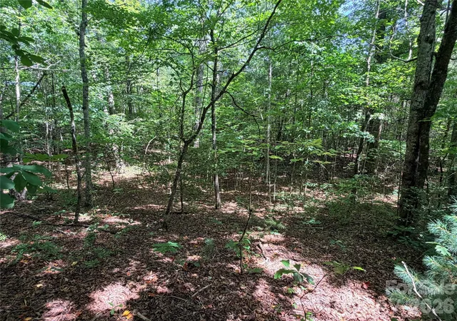 Photo 3 of Land for sale at 00 Grassy Knob Rd #5, Mill Spring, NC 28756 | MLS# 4395385 | Listing updated on 2026-06-19